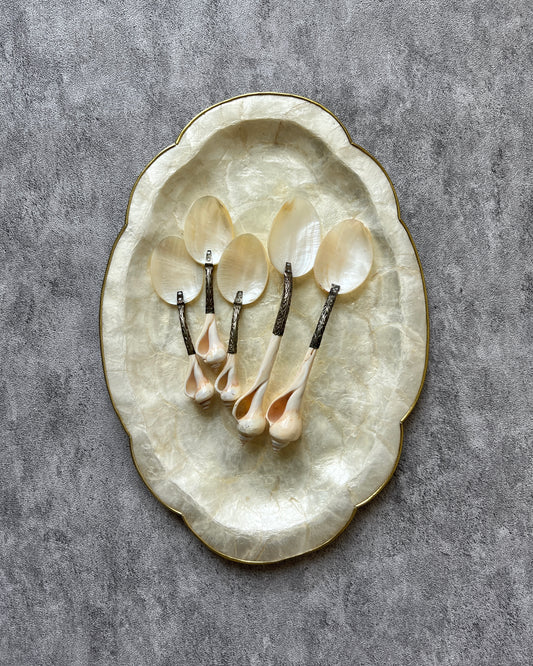 Vintage mother-of-pearl and seashell serving spoon presented as a unique gift for collectors and lovers of coastal-inspired serveware.