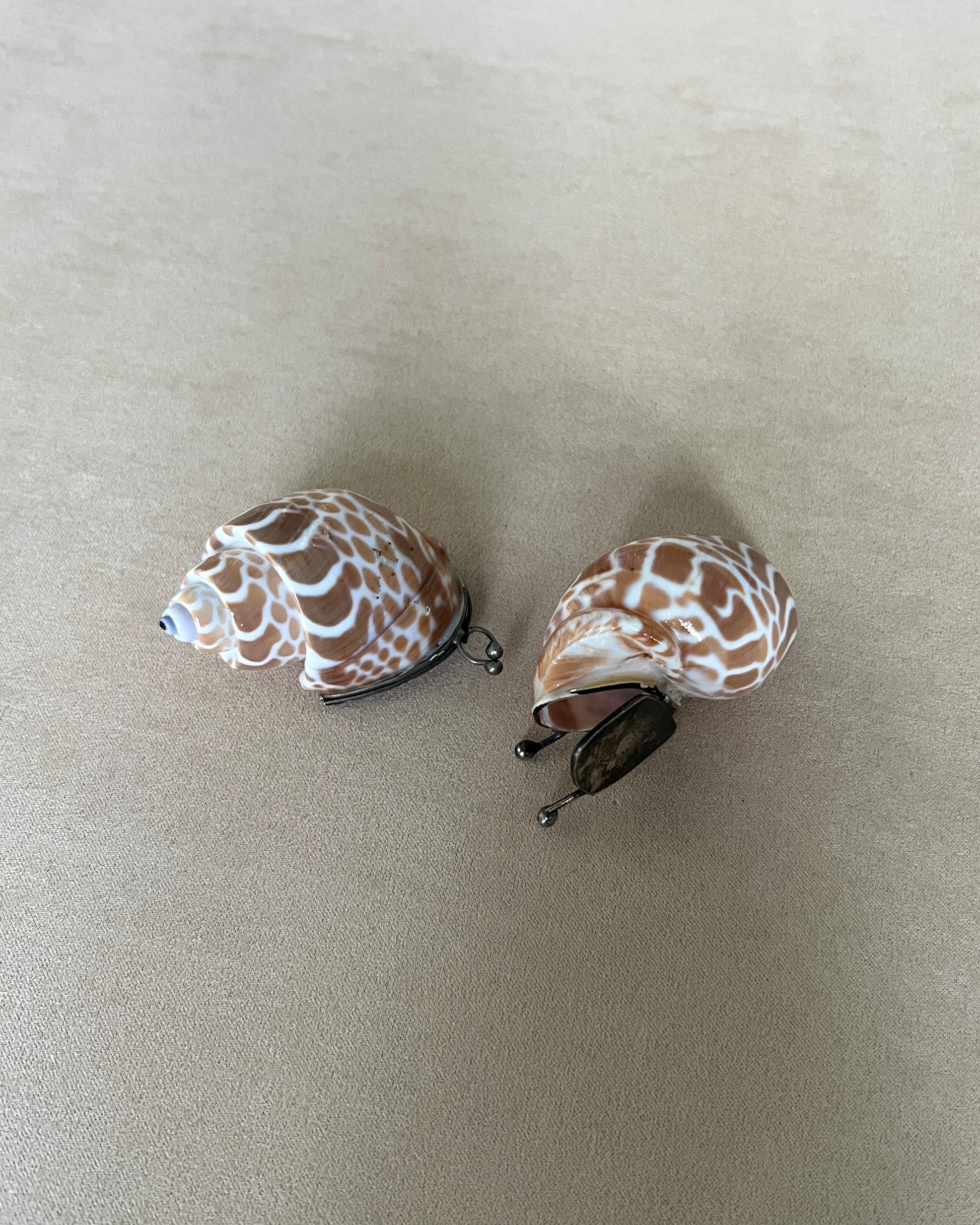 Two vintage Babylonia shell trinket boxes featuring a distinct spiraled brown and white pattern, fitted with antique brass hardware.