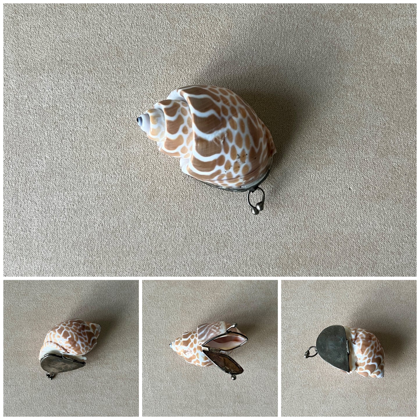 A photo collage showing different angles of a Babylonia shell box, highlighting the brass rim, the spiral pattern, and the interior storage space.