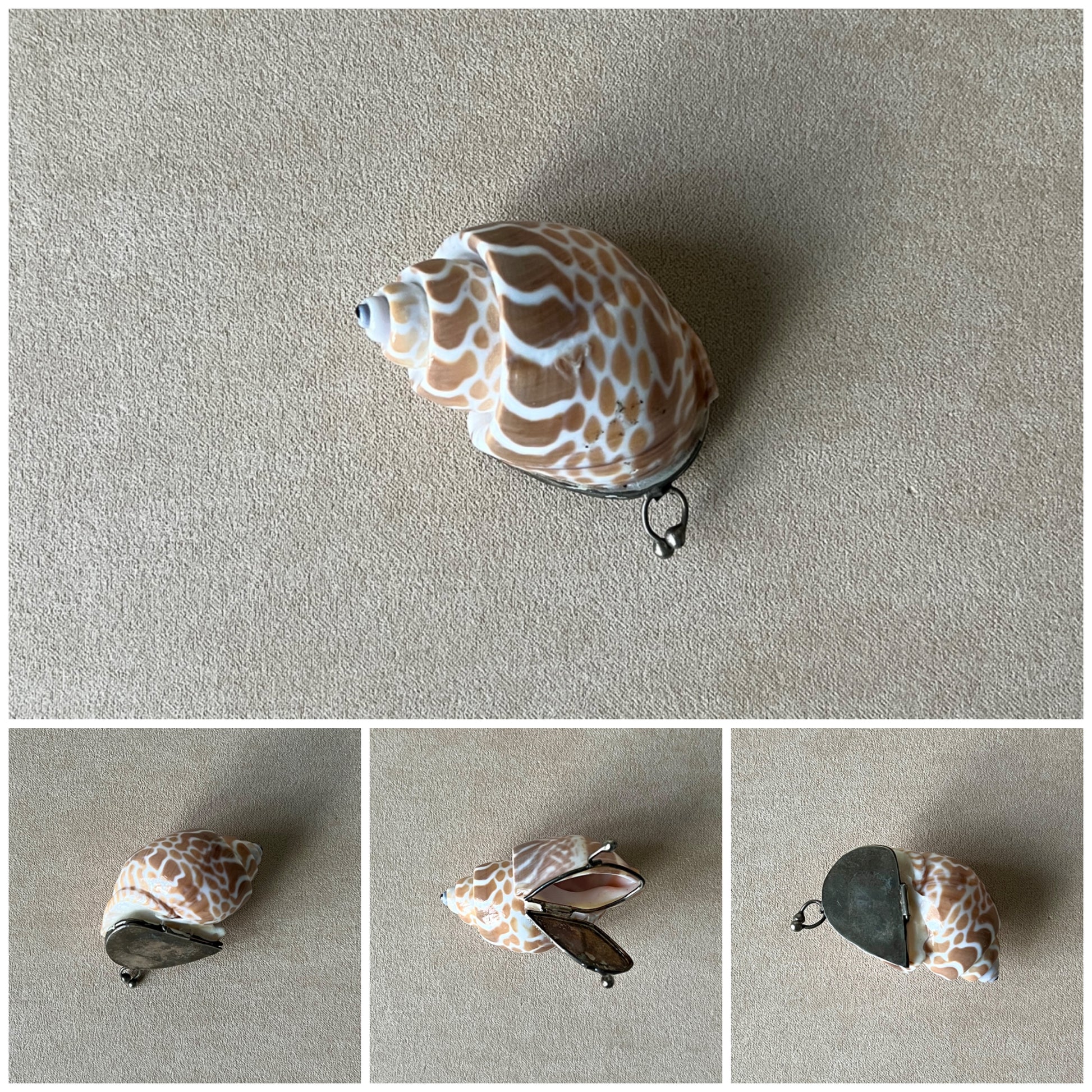 A photo collage showing different angles of a Babylonia shell box, highlighting the brass rim, the spiral pattern, and the interior storage space.