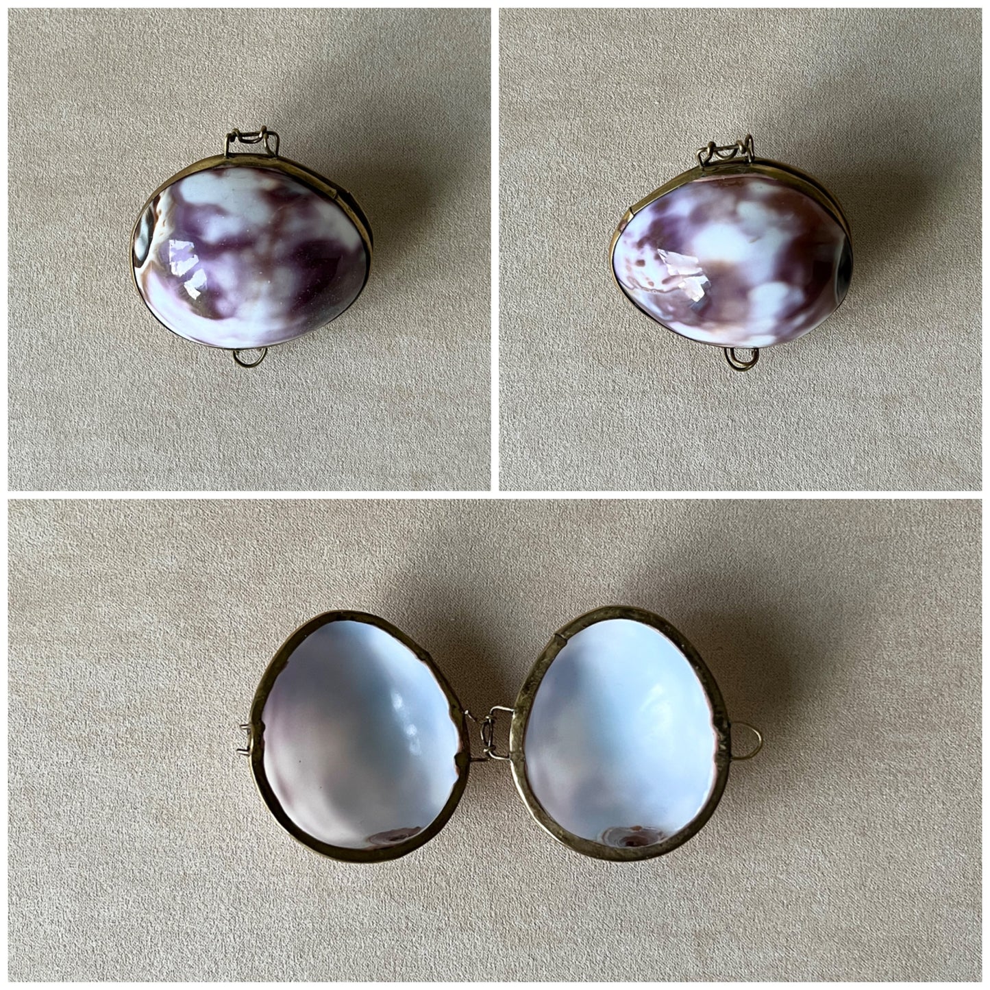 A collage displaying the rare Isabella Cowrie shell box, characterized by its smooth cylindrical shape and delicate white and purple hues with brass trim.