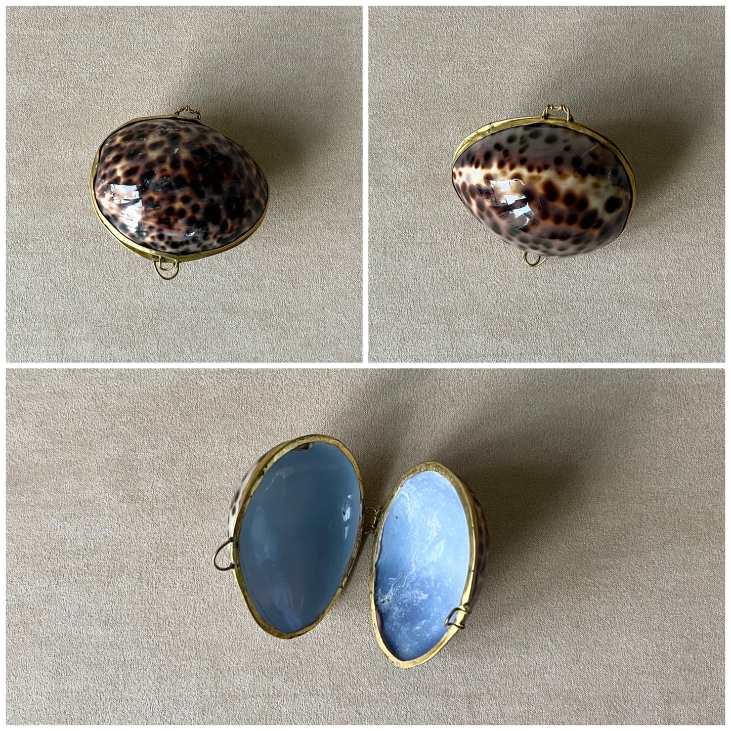 A collage featuring a Tiger Cowrie shell box, highlighting the natural gloss of the shell and its suitability as a unique ring presentation box.
