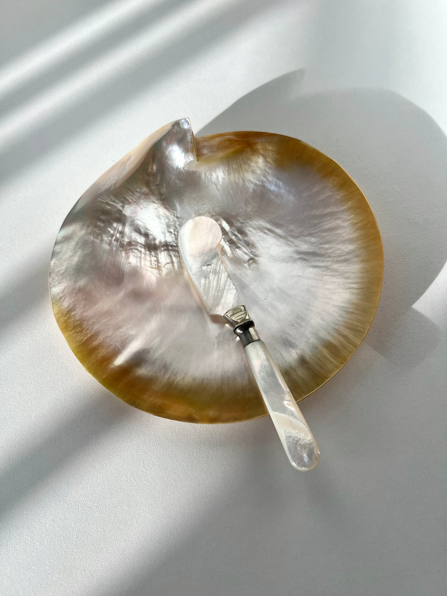 A luxury caviar serving set featuring a large, iridescent mother-of-pearl shell dish and a matching vintage pearl knife on a dark surface.