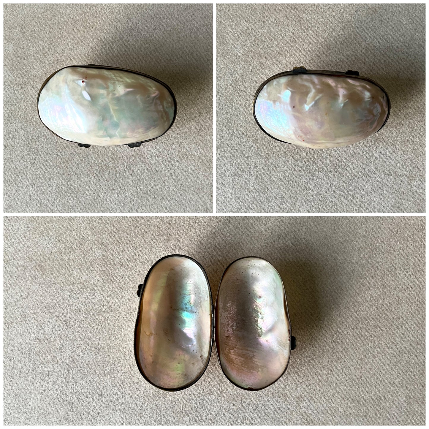 A collage of a vintage Pearl Oyster shell box, capturing the luminous iridescence of the mother-of-pearl and the delicate brass hinge mechanism.