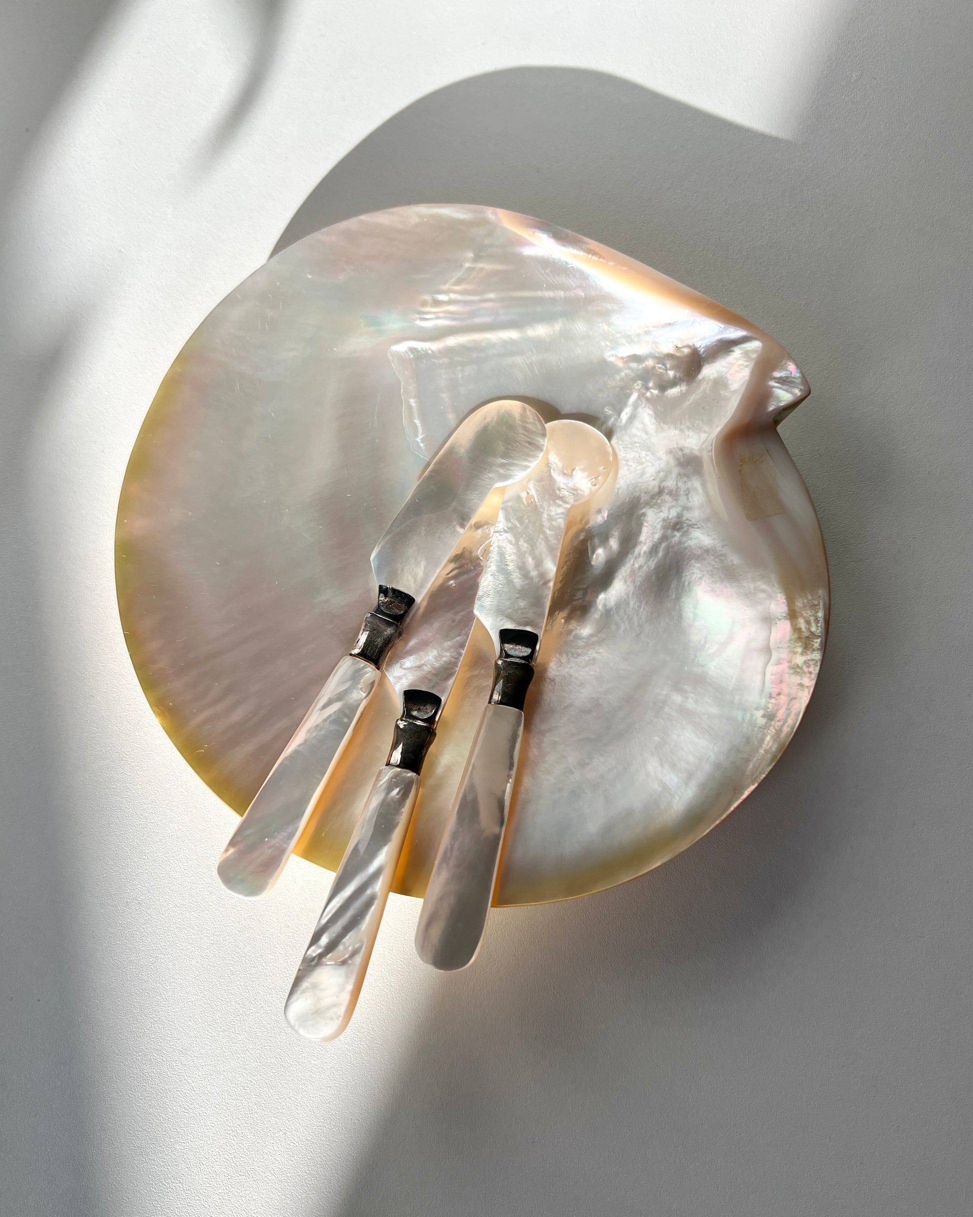 The three available generous sizes of the mother-of-pearl shell dishes shown side-by-side to compare their unique, natural shapes.