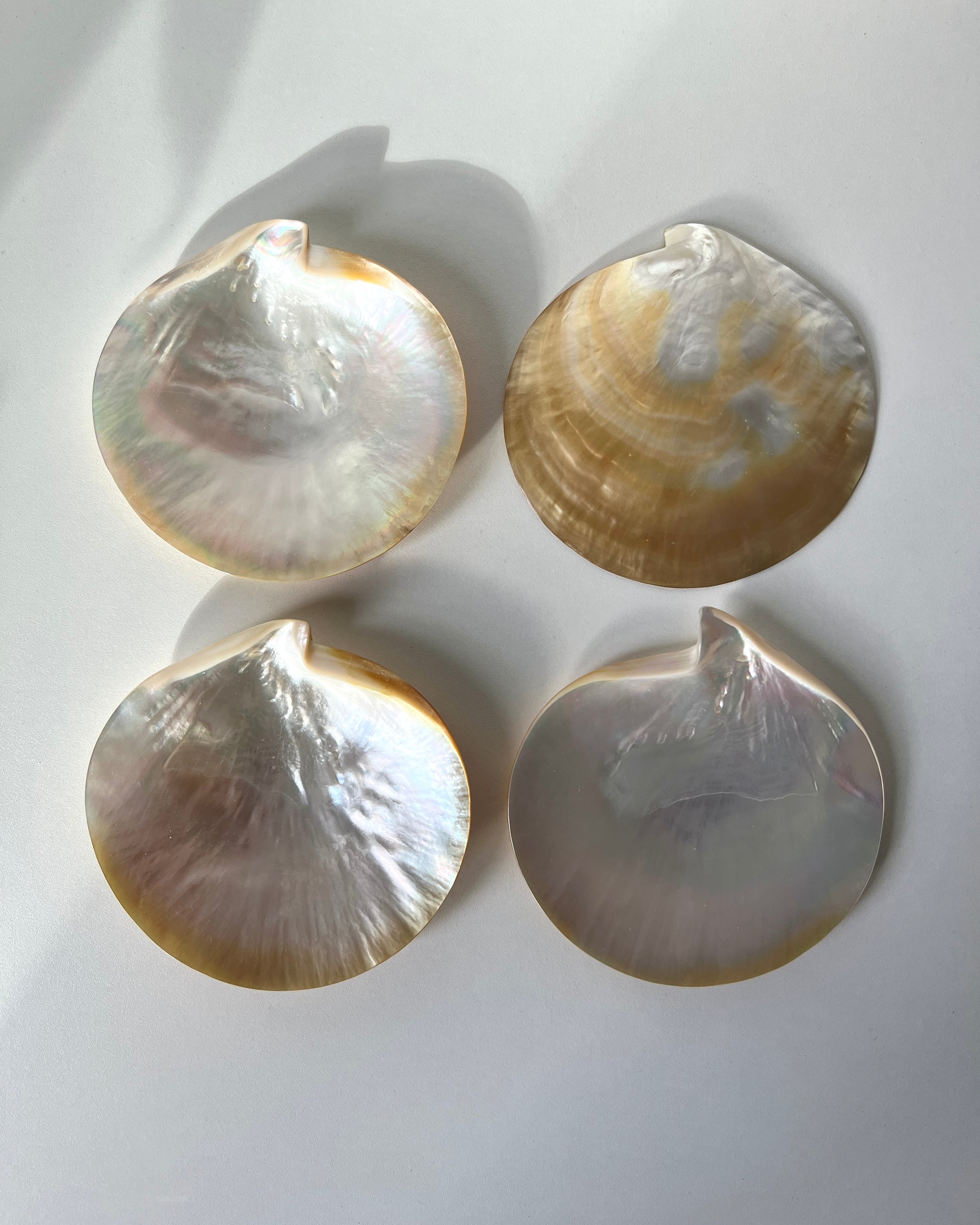 The natural shell platter serving as a beautiful decorative catch-all tray, holding delicate gold necklaces and pearl earrings.