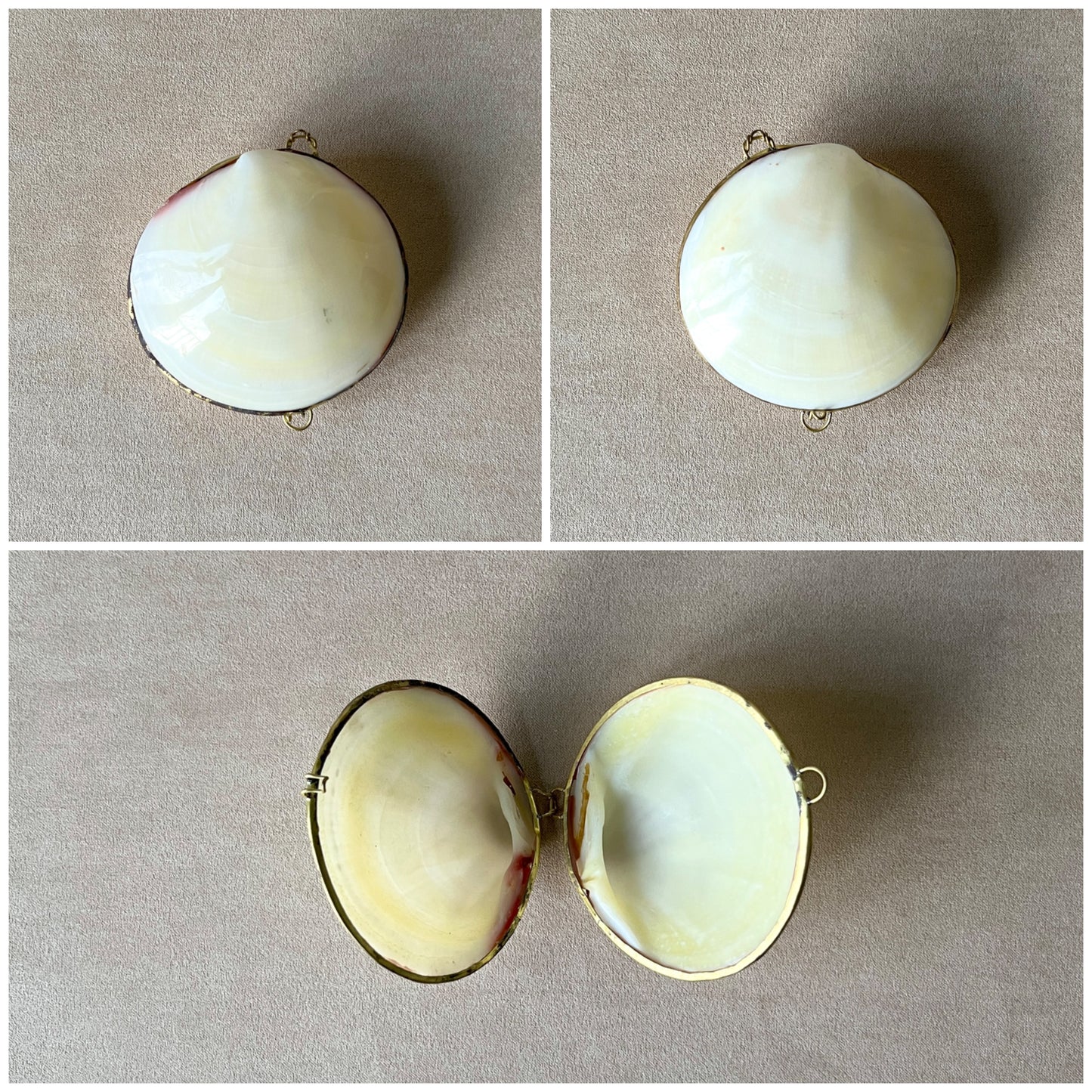 Collage views of a polished Moon Shell box with gold-tone brass accents, capturing its natural beauty and function as a small keepsake container.