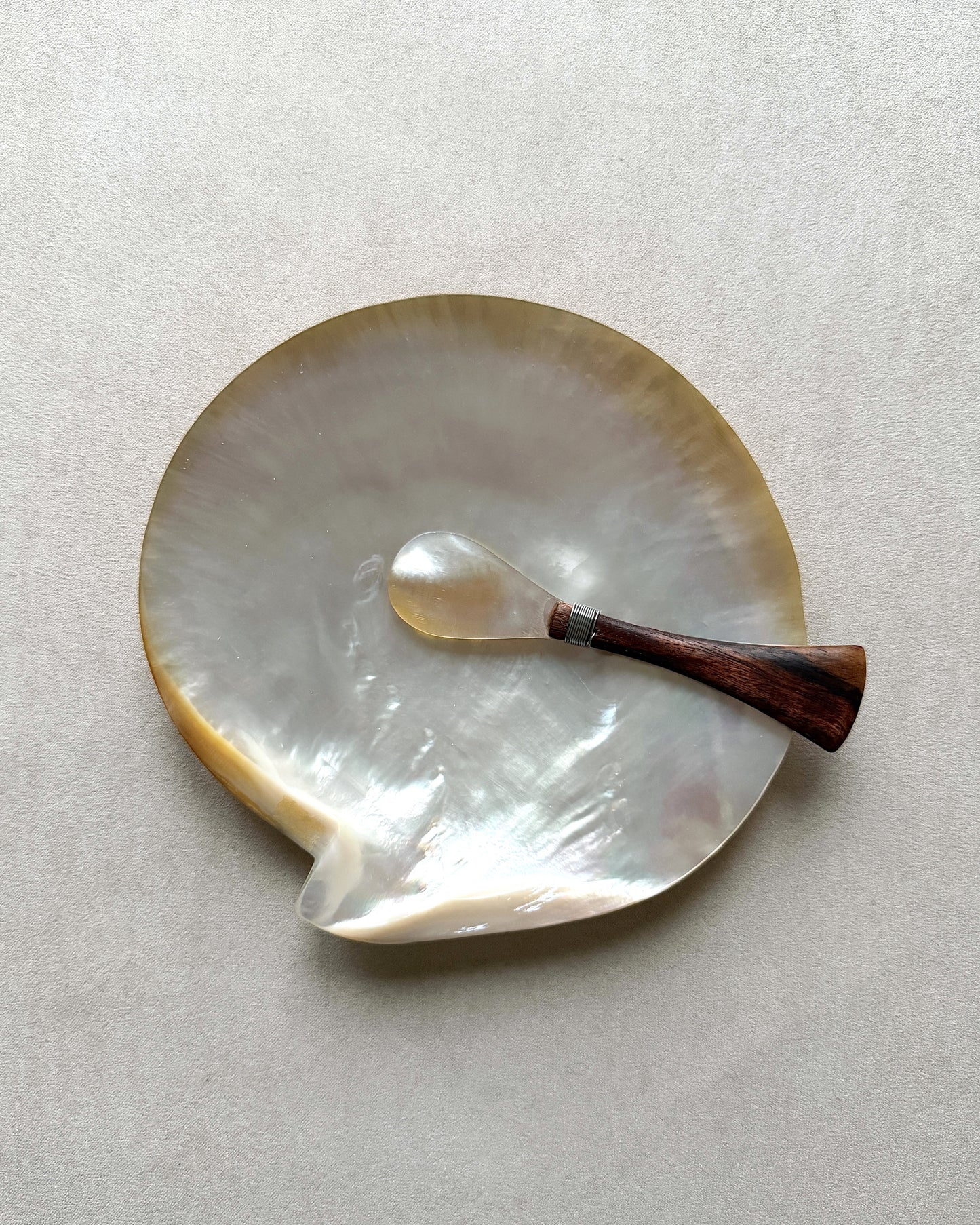 A single teak-handled caviar spoon resting on a large natural mother-of-pearl shell dish, highlighting the organic texture and luxury of the materials.