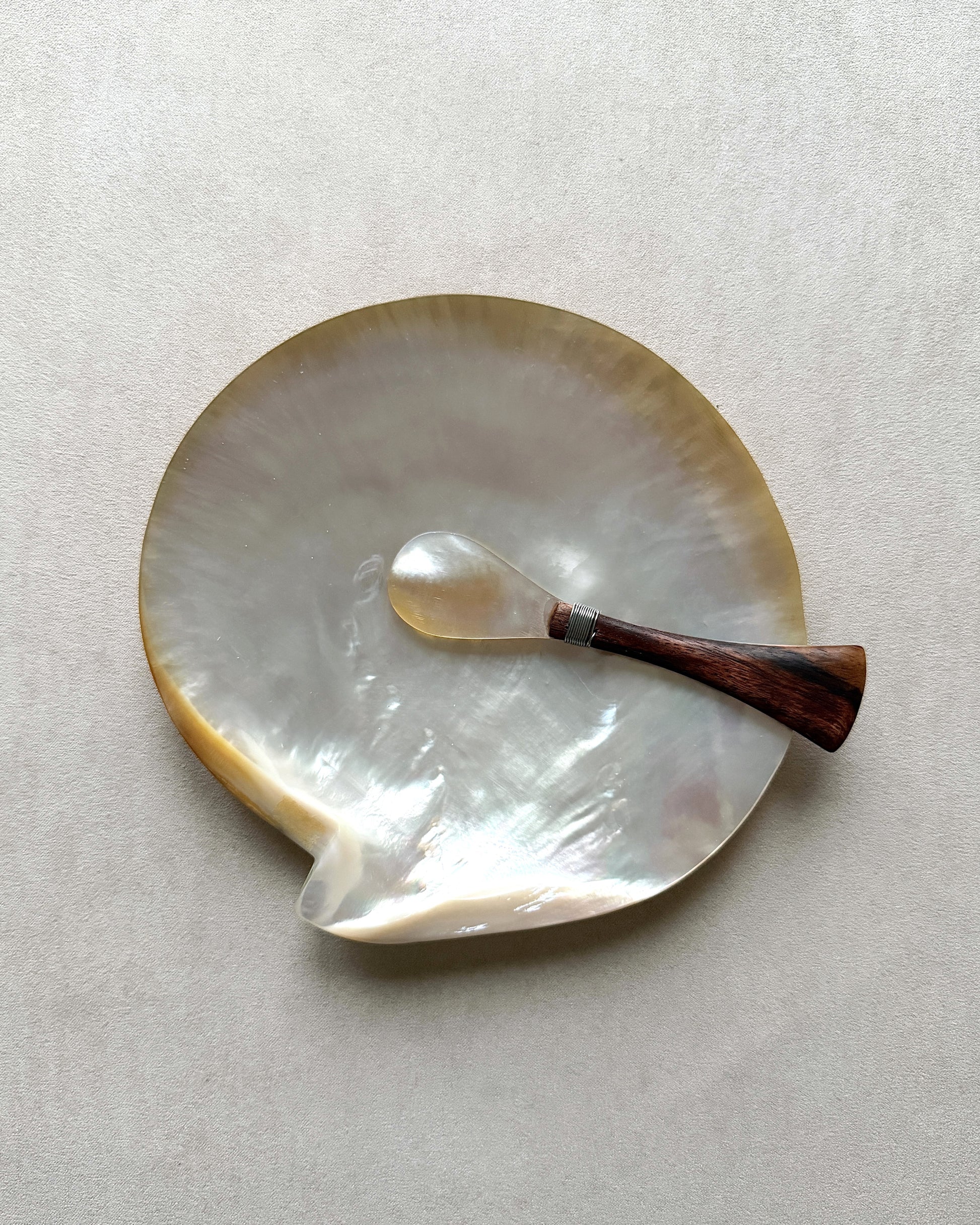 A single teak-handled caviar spoon resting on a large natural mother-of-pearl shell dish, highlighting the organic texture and luxury of the materials.