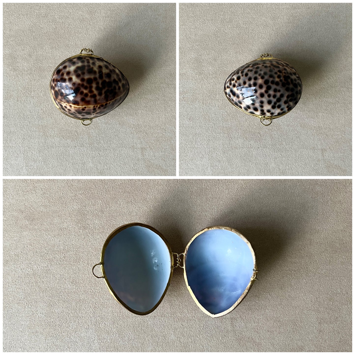Multiple angles of a vintage Tiger Cowrie shell box, displaying its iconic spotted pattern and the sturdy brass rim framing the opening.