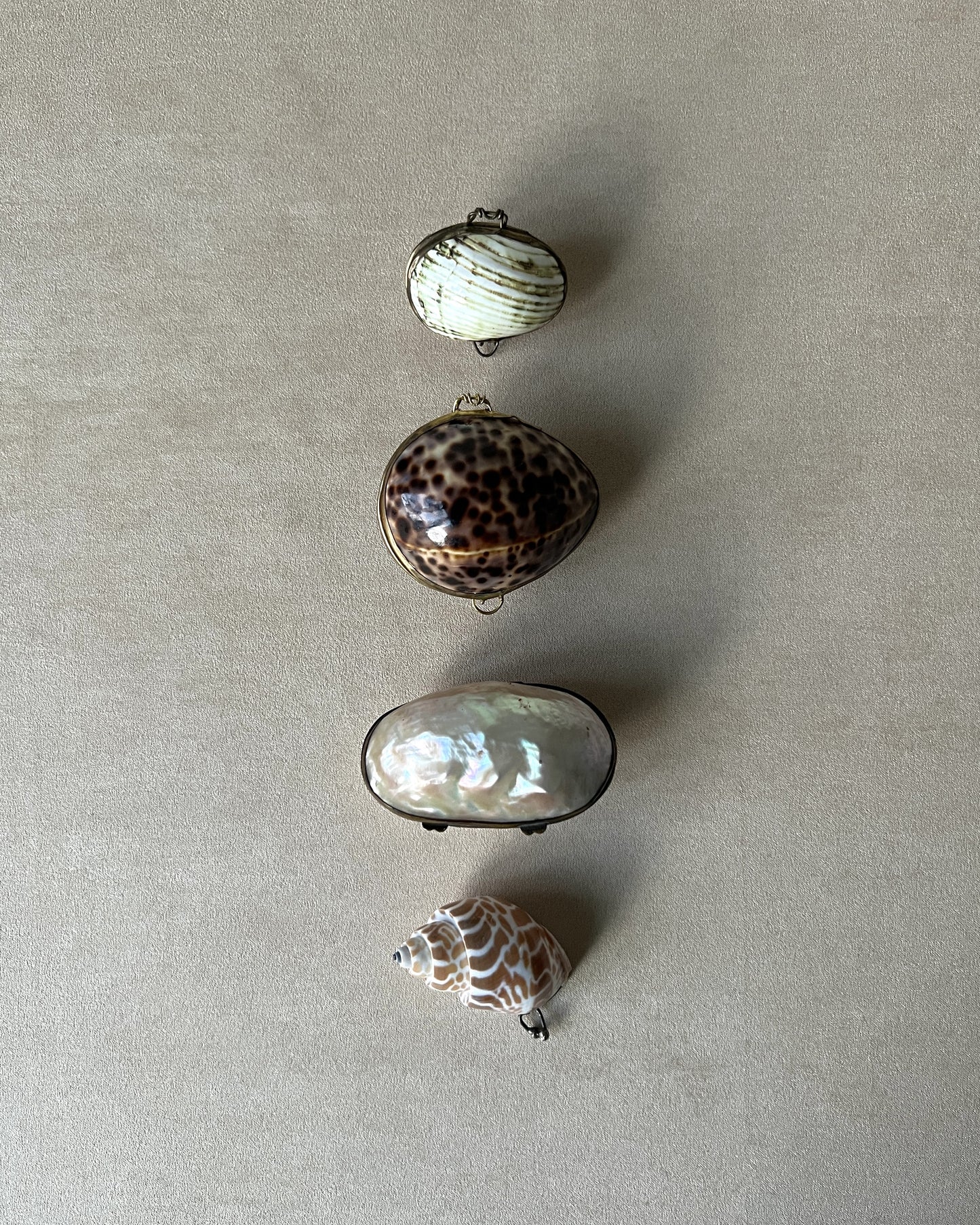 A group of four distinct vintage shell trinket boxes on a table, each featuring a secure brass clasp and unique organic form.