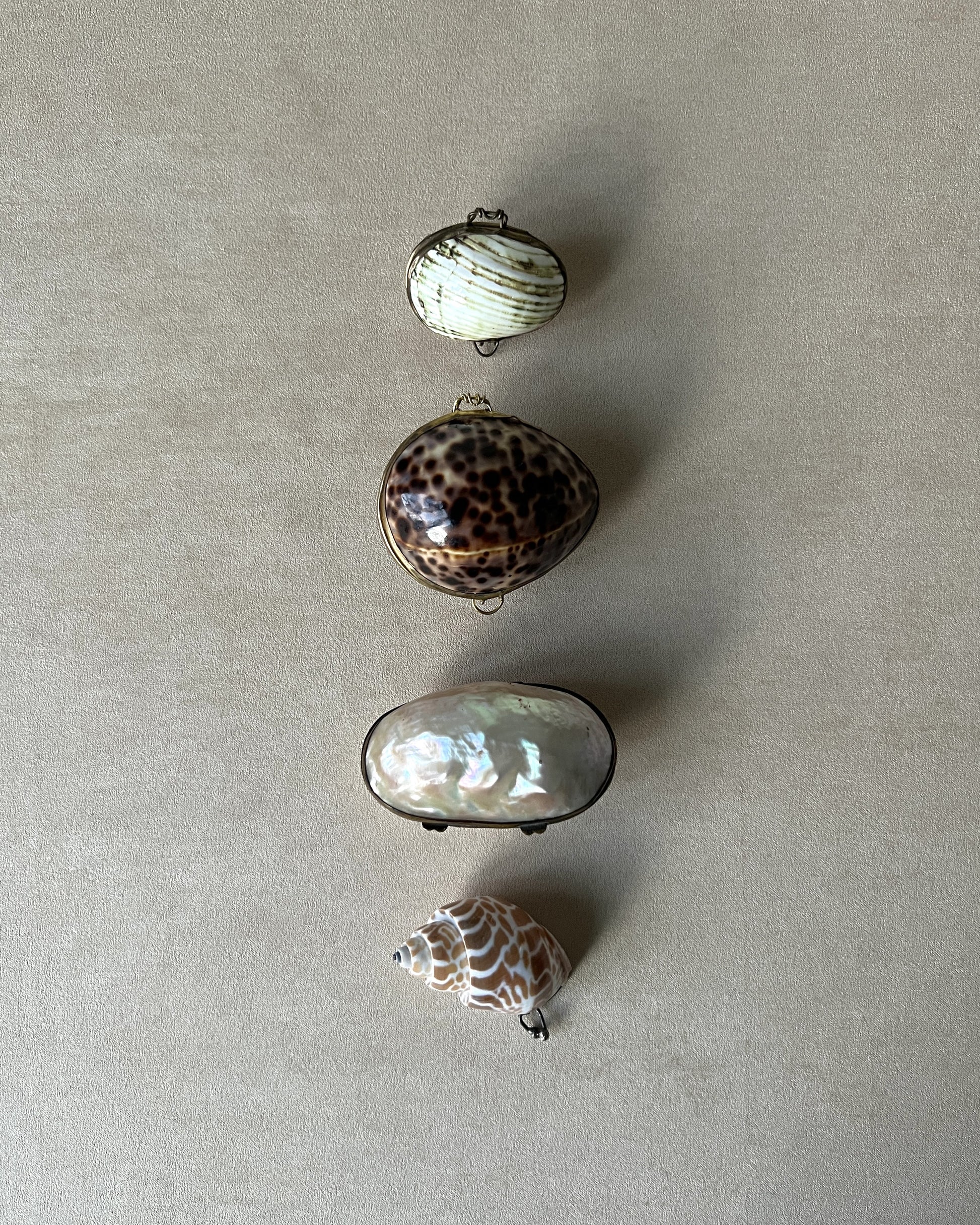 A group of four distinct vintage shell trinket boxes on a table, each featuring a secure brass clasp and unique organic form.