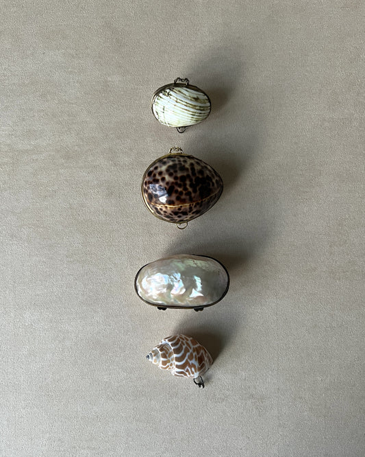 A group of four distinct vintage shell trinket boxes on a table, each featuring a secure brass clasp and unique organic form.