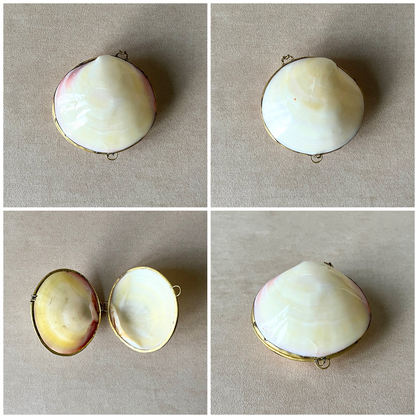 A detailed view of a vintage Moon Shell trinket box, showing its smooth, round shape and brass hinge closure, perfect for holding rings or pills.