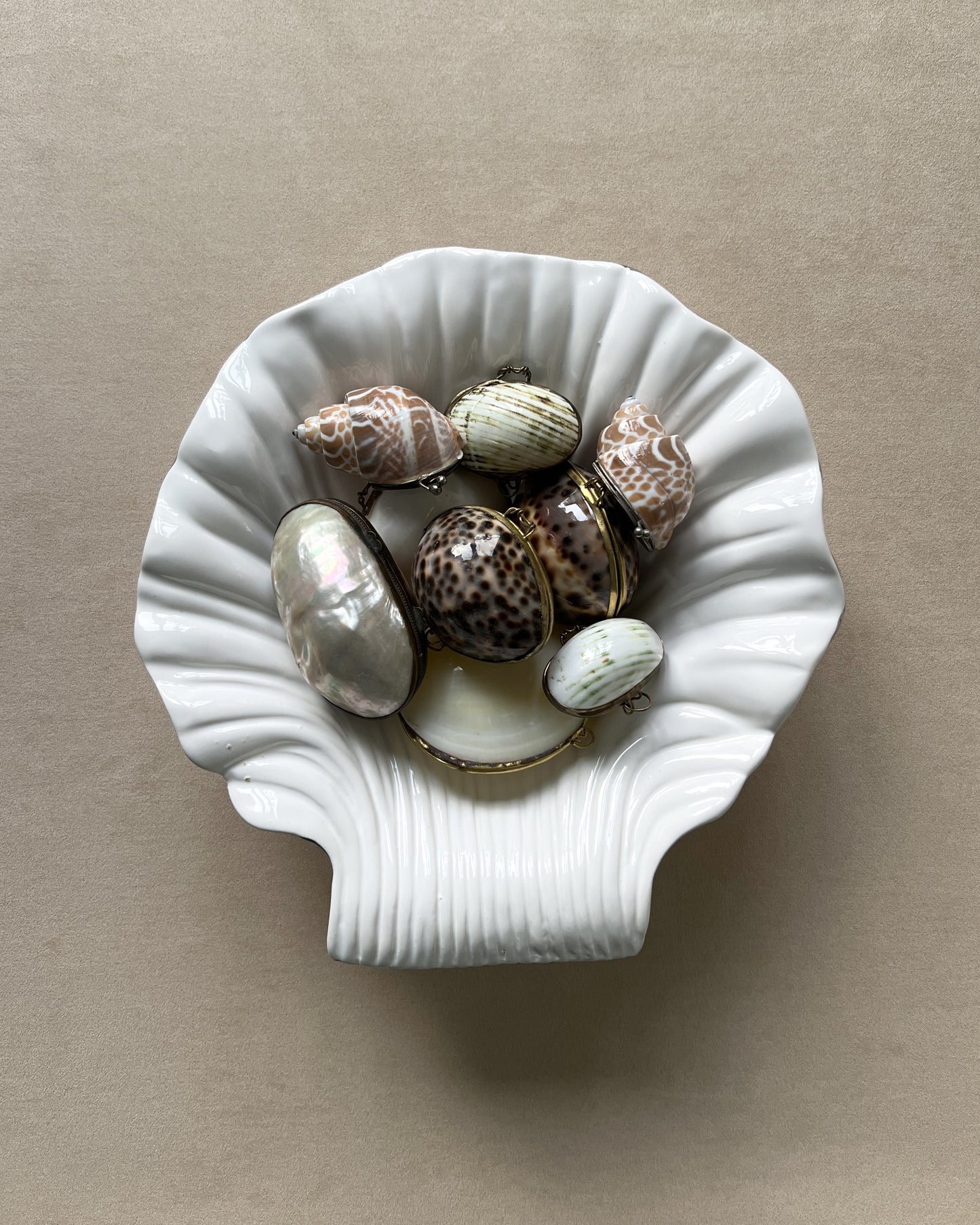 A collection of vintage brass-rimmed natural shell trinket boxes displayed in a large white shell-shaped bowl, showcasing the variety of shapes and colors.