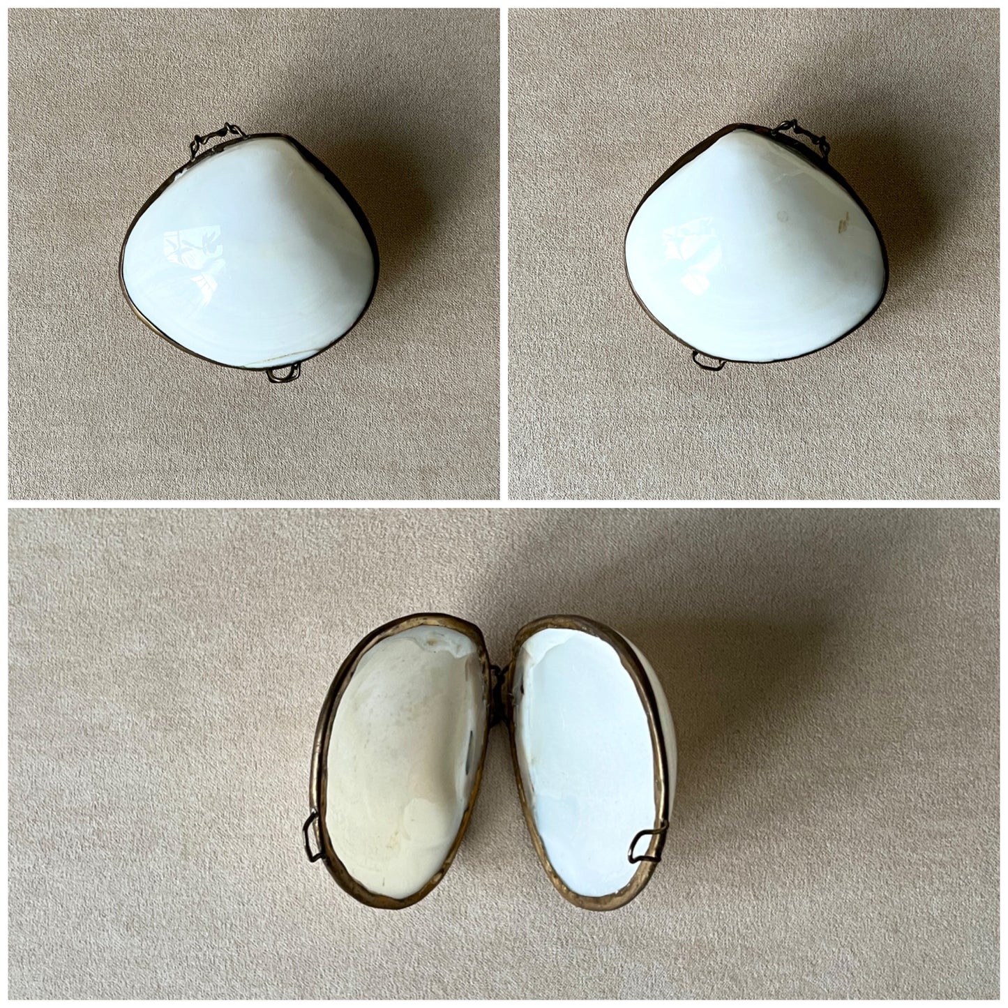 Different angles of a vintage white Clam shell box with a brass rim, a perfect choice for a beach wedding ring holder or minimal coastal decor.