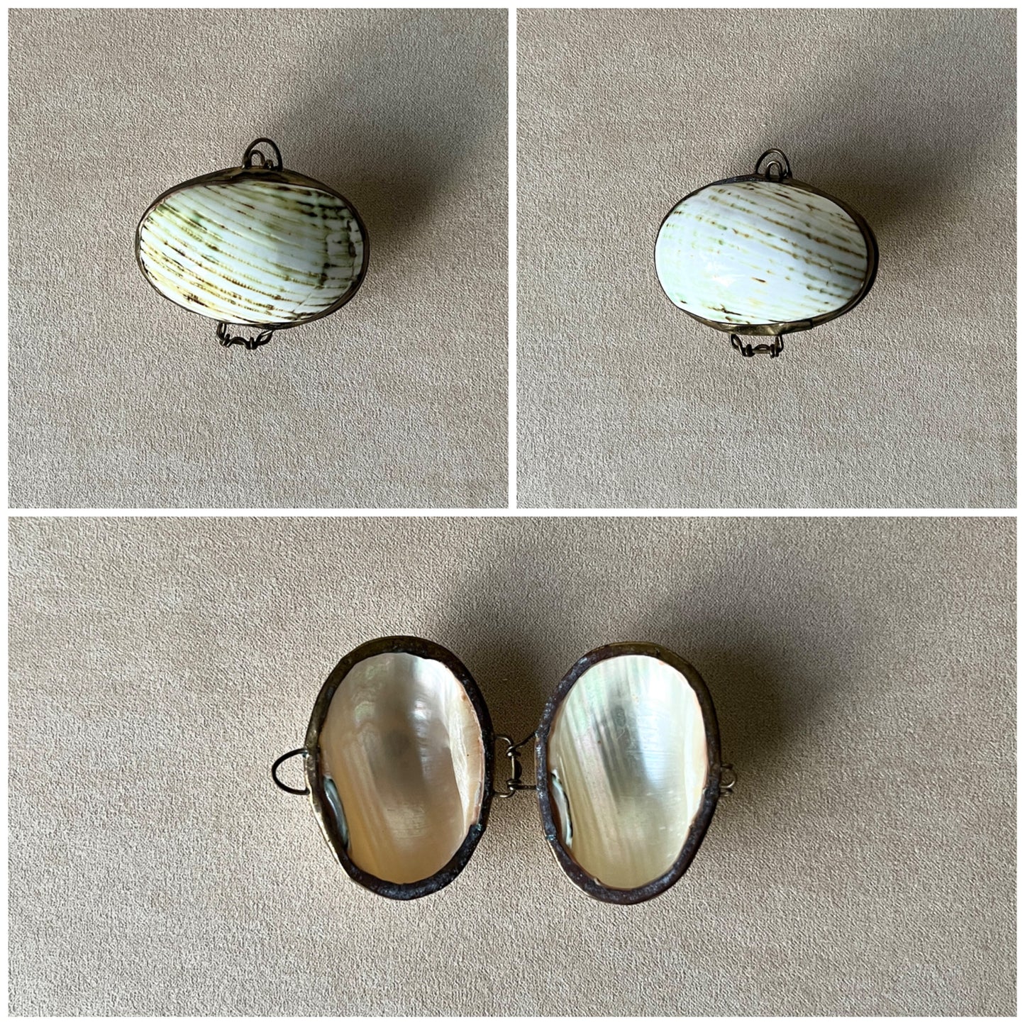 Detailed views of a vintage Turban shell box, showing the iridescent mother-of-pearl undertones beneath the green outer shell and brass fittings.